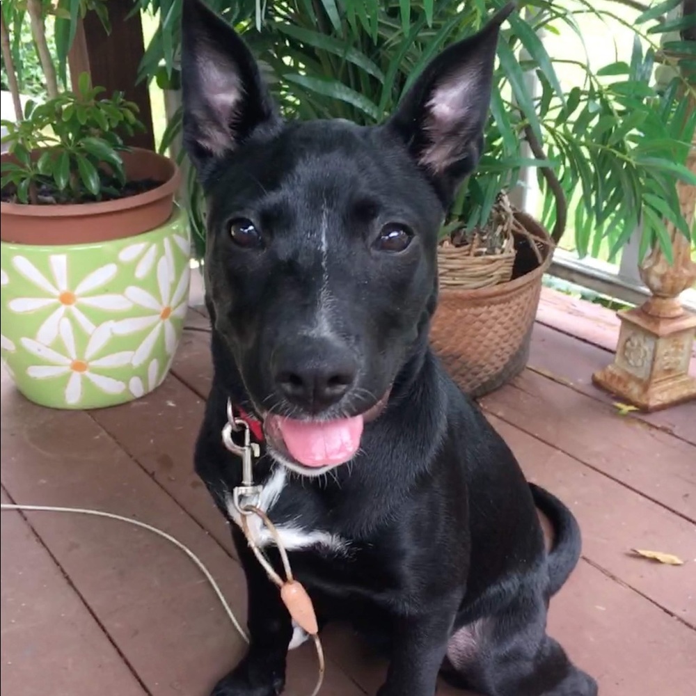 Meet your Posher, Zdena